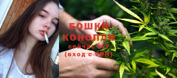 2c-b Горно-Алтайск