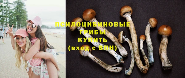 ешки Вязьма